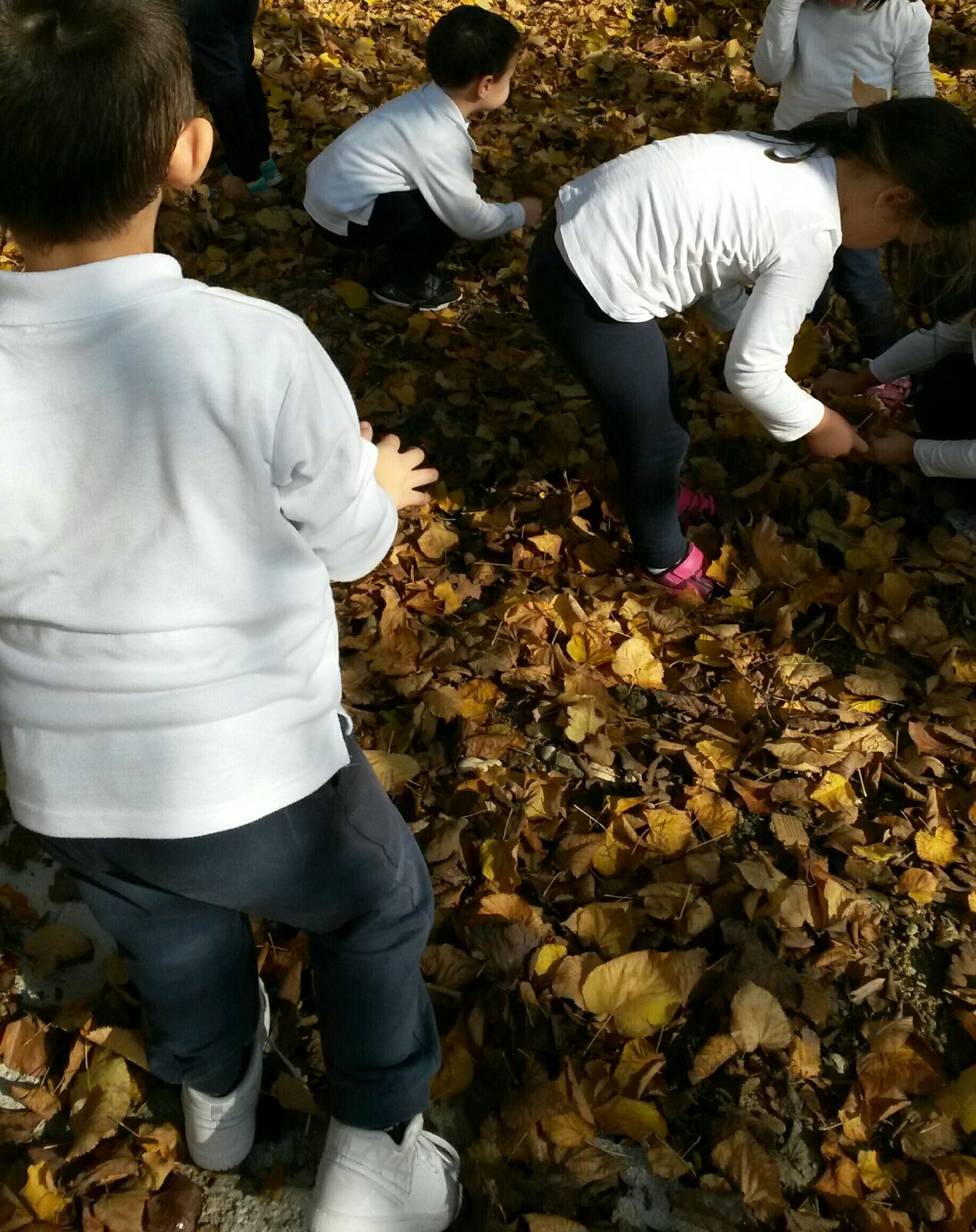 IMG-20151122-WA0007