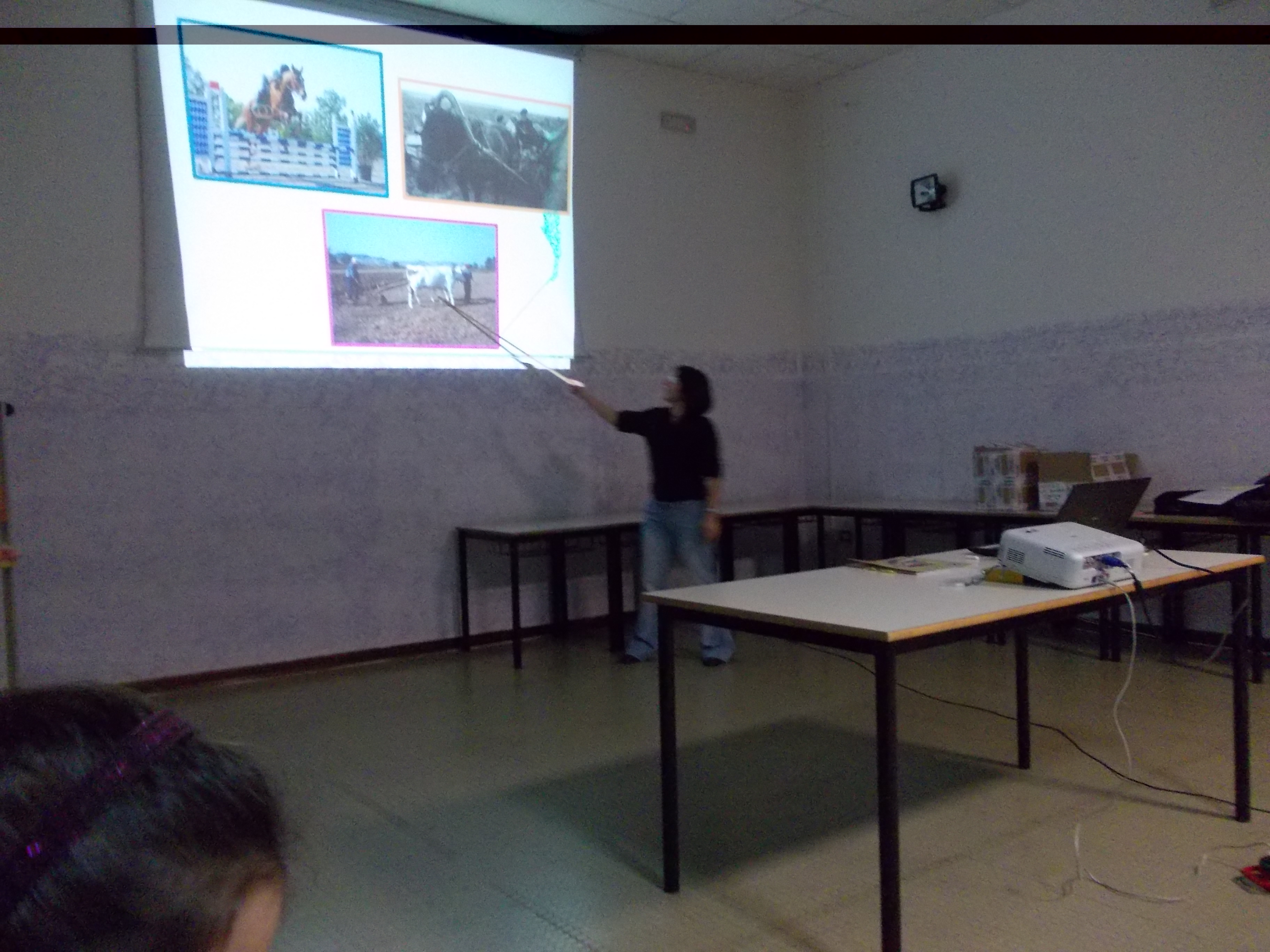 zooantropologia carola 2012 025